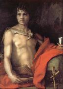 Andrea del Sarto Portrait of younger Joh oil painting on canvas